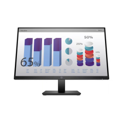 HP P24q G4 - 24" Monitor